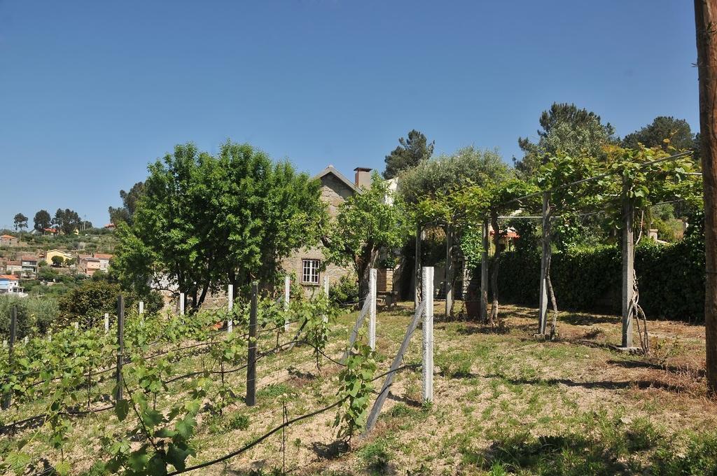 Willa Quinta Do Vale Sanguinho Seia Zewnętrze zdjęcie